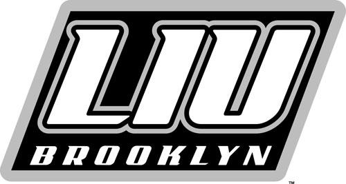 LIU-Brooklyn Blackbirds 2008-Pres Alternate Logo v2 diy iron on heat transfer